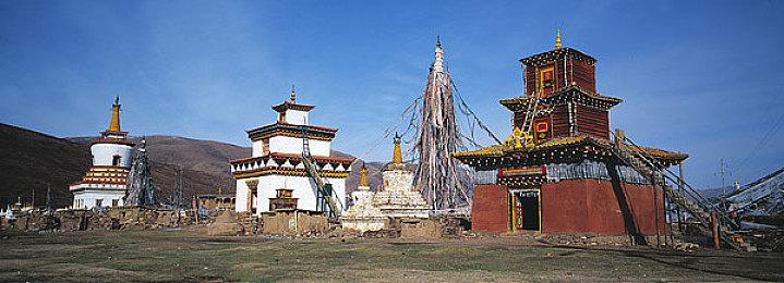 《米德加德部落》下载量超过25万 官方植4万课树庆祝